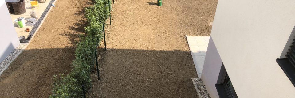 Dir wellt gären en neien Wuess?